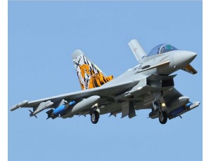 Freewing Eurofighter Typhoon 90mm 12 Blade EDF Jet 6S PNP Version